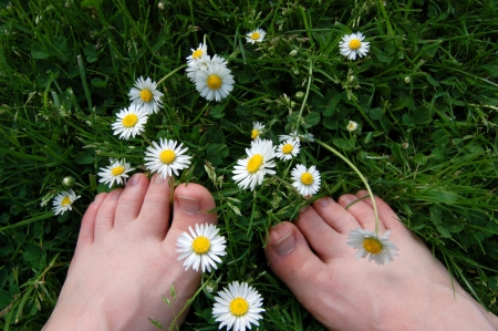 Barefoot among daisiesの写真素材