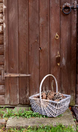 Basket of fir cones left in front of a weathered wooden doorの写真素材