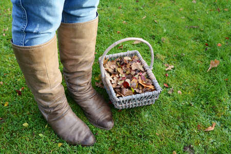 Woman wearing knee high winter boots standing next to a basket of autumn leaves on green grassの写真素材