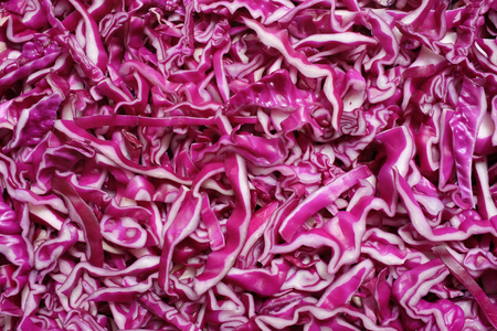 Shredded raw red cabbage as an abstract background textureの写真素材