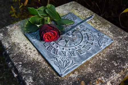 Wilting deep red rose lying on a weathered sundial, lit against a dark backgroundの写真素材
