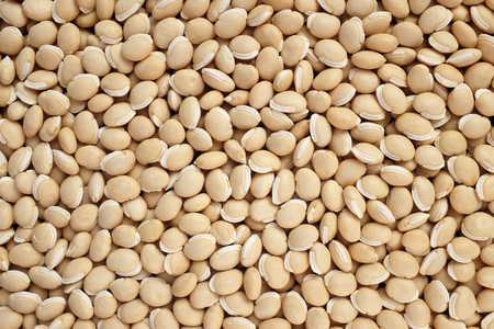 Dried bitter neavy beans as an abstract background texture