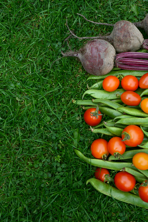 Line of fresh vegetables - beetroot, runner beans and tomatoes - on green grass with copy spaceの写真素材