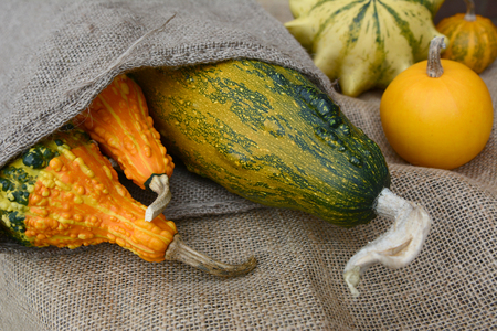 Assortment of orange and green ornamental gourds on rough hessian and spilling from a jute sackの写真素材