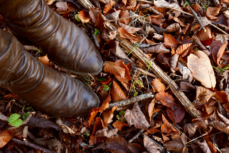 Woman's brown leather boots among crisp autumn leaves and dead wood on a forest floor with copy spaceの写真素材