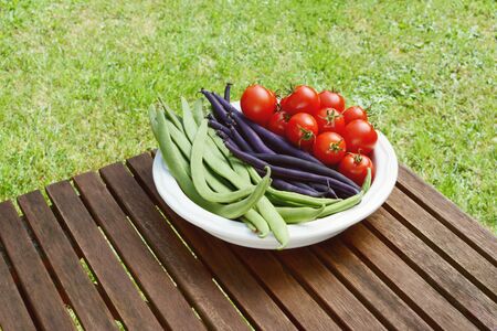 Freshly harvested Calypso beans, French beans and cherry tomatoes in a dish on a wooden picnic table...