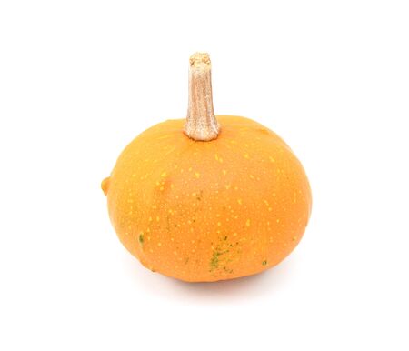 Round ornamental gourd with bright orange skin for autumn decoration, on a white backgroundの写真素材