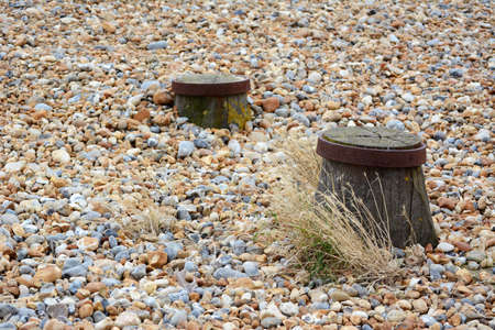 Tops of two groyne sea defences visible on a shingle beach, with dry sea grasses growing among the...