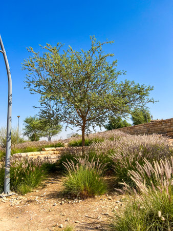 Panoramic view of wadi namar , riyadh  Saudi arabia.の写真素材