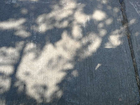 Shades of the the tree on the ground.  Concrete background.の写真素材