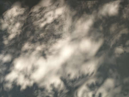 Beautiful tree leaf shadows on the ground.