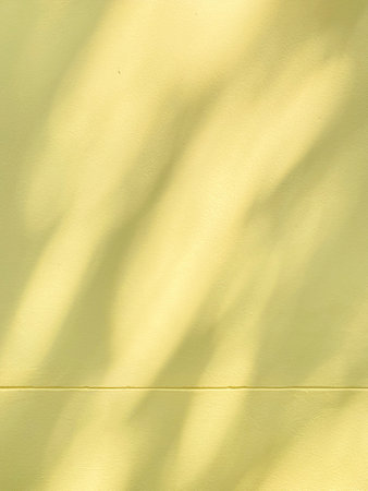 shadow of tree leaves on the yellow wall, closeup of photoの写真素材