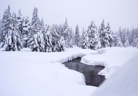 Landscape with creek in winter forestの写真素材