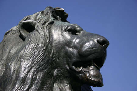 King of the Beastsの写真素材