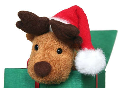 Reindeerの写真素材