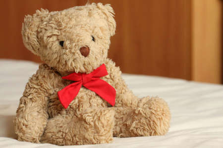 Bear On The Bedの写真素材
