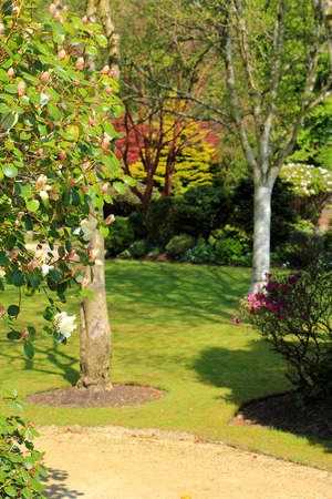 Beautiful spring garden in Scotlandの写真素材