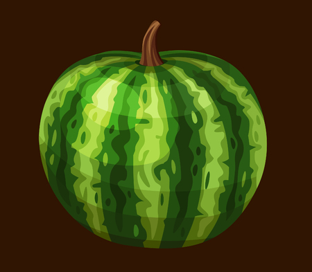 Watermelon icon. Vector illustrationのイラスト素材