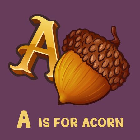 Children alphabet letter A and acorn. Isolated on color. Vector illustrationのイラスト素材