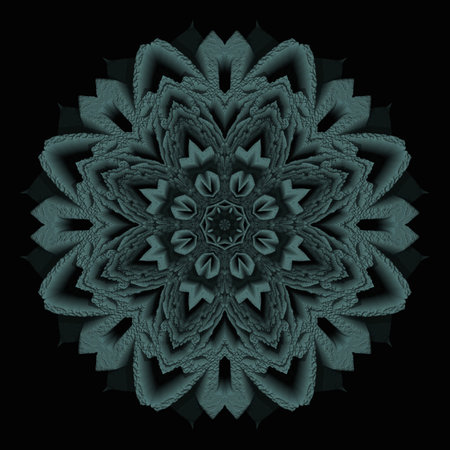 Ornament design on black backgroundの写真素材