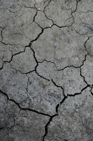 Cracked Earth Surface. Soil. Droughtの写真素材