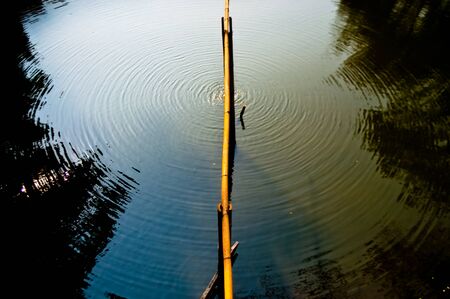 Continuous circular ripples on a lake caused by water drops from a bamboo pipe