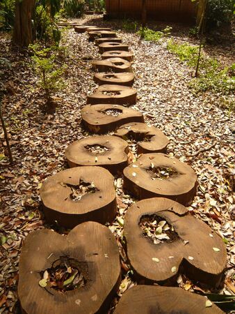 way  の写真素材