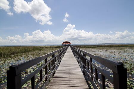  bridge 2の写真素材