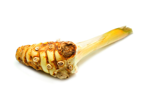 Galangal isolated on white background