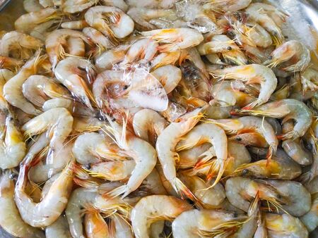 Fresh prawns sold at the market in Thailandの写真素材