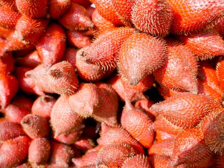 Red salak background in the marketの写真素材