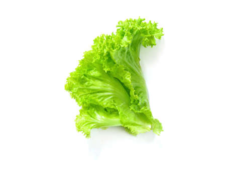 Fresh green lettuce isolated on white backgroundの写真素材