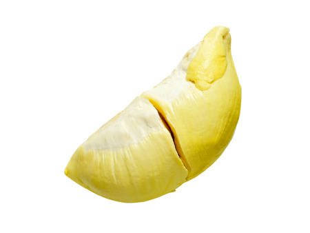 Rich yellow durian flesh isolated on white background. Many people name it as the King of fruits.の写真素材