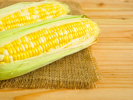 Ears of bicolor sweet corn on rustic wooden backgroundの写真素材