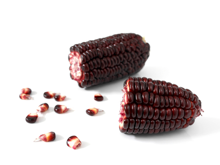 Purple corn or purple maize isolated on whiteの写真素材