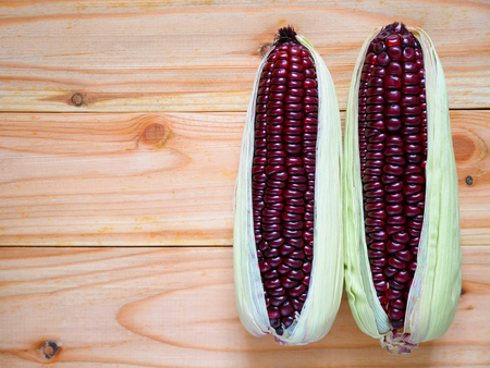 Purple corn or purple maize on wooden