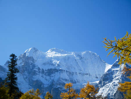 Snow covered mountain peaks with colorful autumn leaves in Yading Nature Reserve, Sichuan, China. Snow mountain landscape.の写真素材