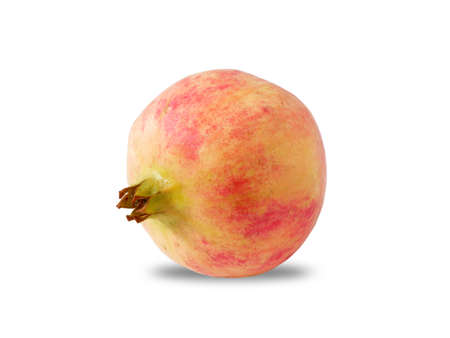 Ripe pomegranate isolated on white backgroundの写真素材