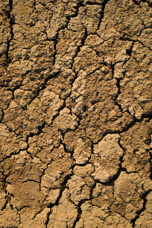 Dry soil, Cracked Ground textureの写真素材