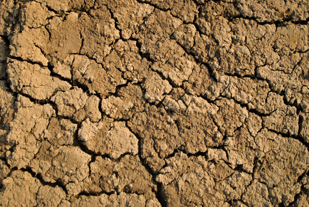 Dry soil, Cracked Ground textureの写真素材