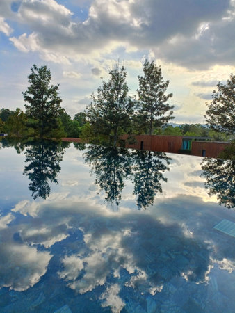 Swimming pool with reflection of clouds and trees in the water.の写真素材