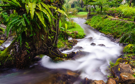 Peaceful mountain stream flows through lush forest ,Doi Inthanon National Park Thailand の写真素材