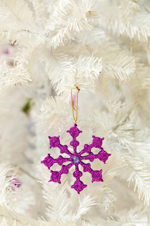 Christmas の写真素材