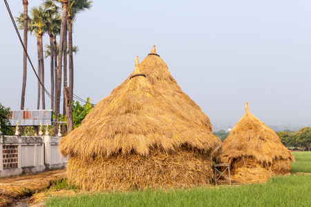 Pile of straw by product from rice field after collecting season.の写真素材