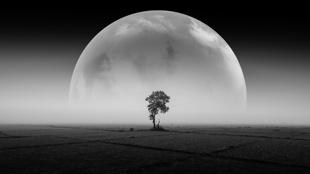 Image of earth planet. の写真素材