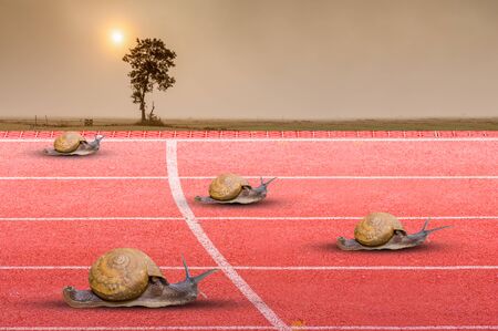 Snail effort running on red rubber trackのeditorial素材
