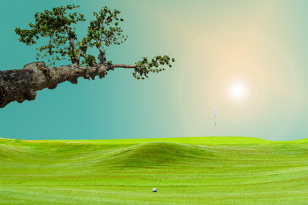 golf ball on greenの写真素材