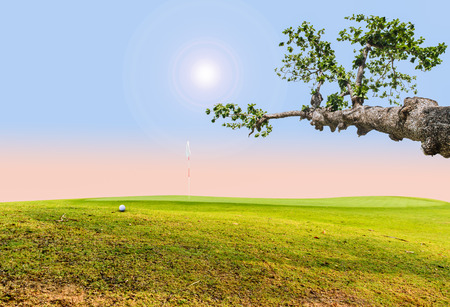 golf ball on greenの写真素材