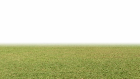 Green Grass, Soccer field ,Fairway Golf Course Isolated on white background  with space for text.の写真素材