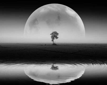Image of earth planet with beautiful light reflect on the water . Elements of this image are furnished by NASA.Black and White.の写真素材